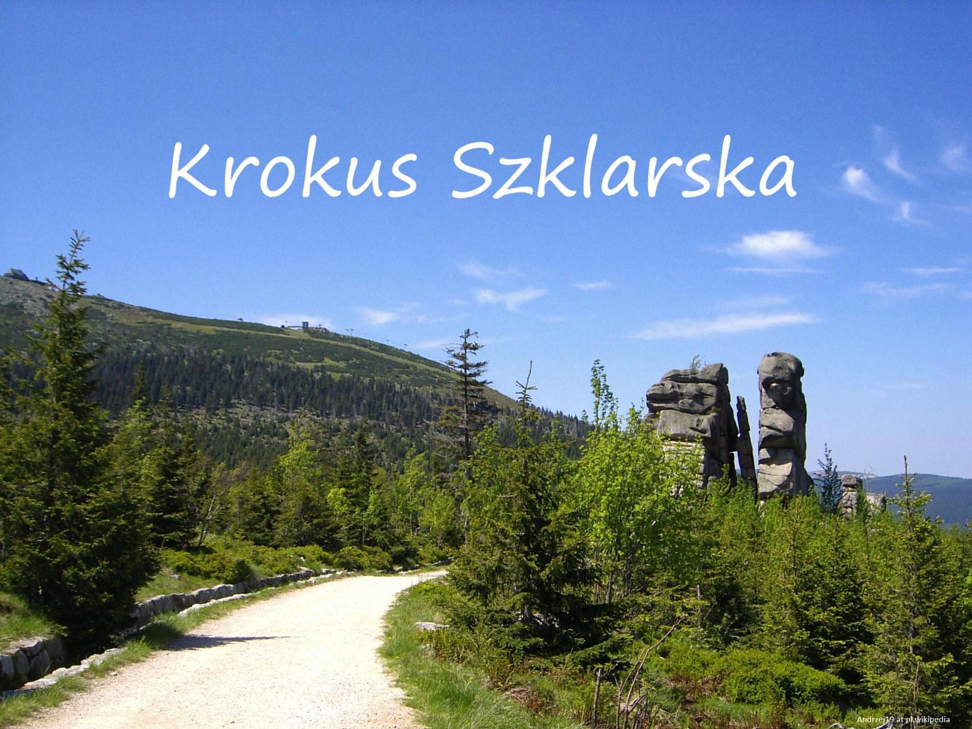 Apartament Krokus Szklarska Schreiberhau Exterior foto